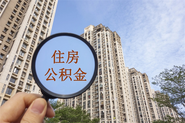 沈阳离职可以取出公积金吗（离职可以取公积金嘛）